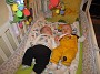 Picture 028